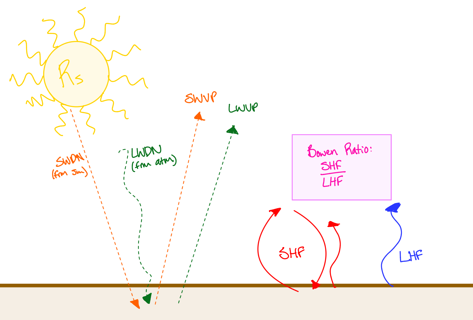 SEB cycle